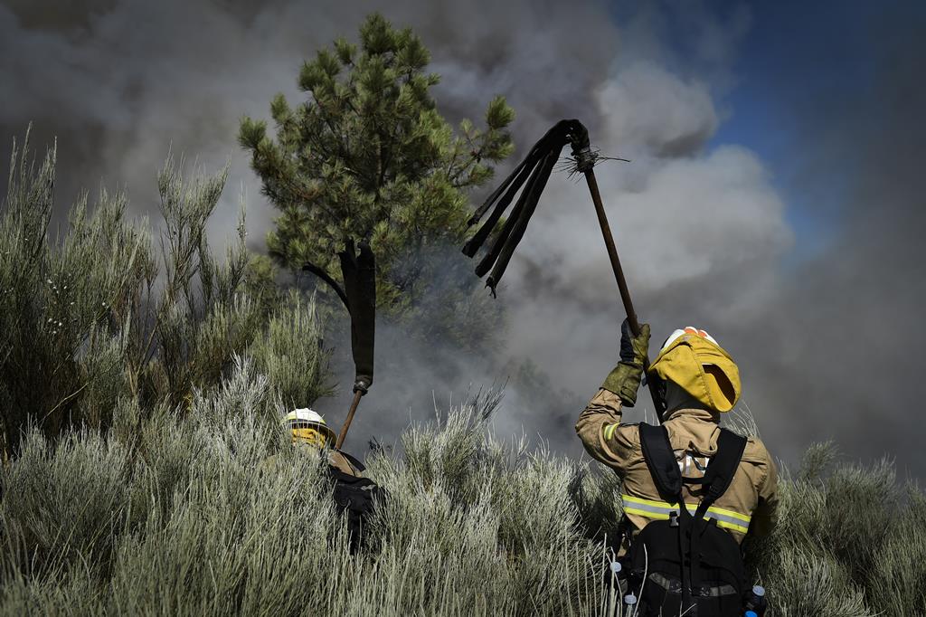 bombeiros no incêndio na Serra da Estrela - agosto 2022. Foto: Nuno André Ferreira/Lusa