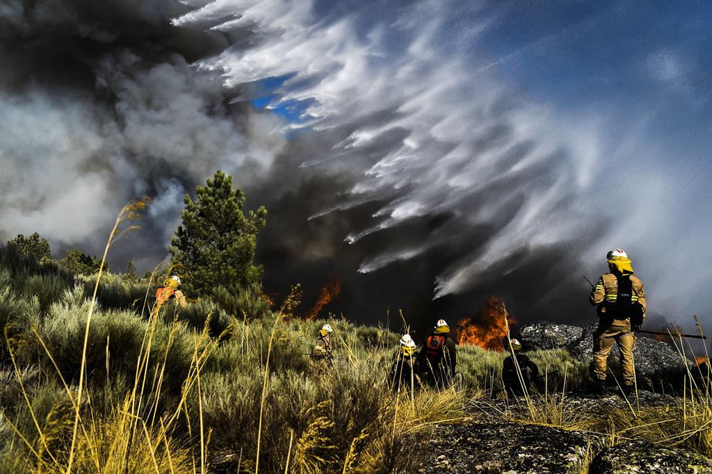 IPMA alerta pra risco muito elevado de incêndio em 12 concelhos. Foto: Nuno Andre Ferreira/EPA