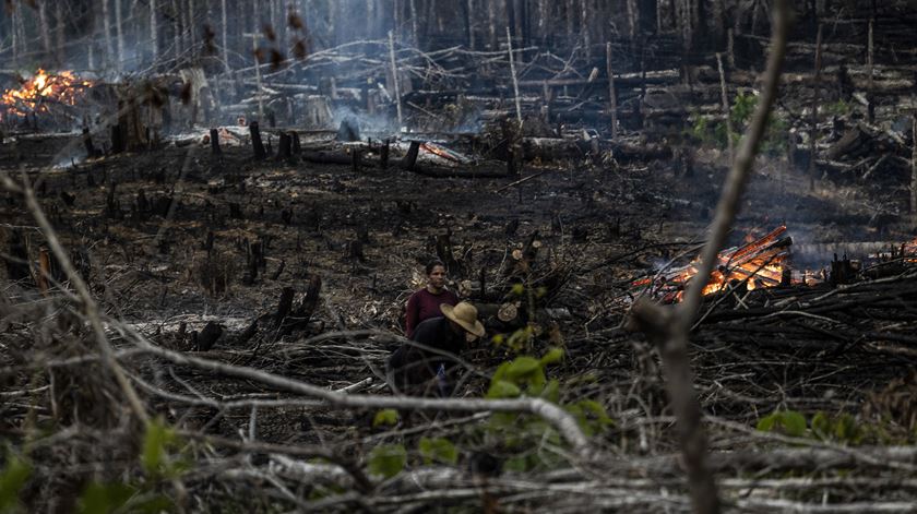 Deflorestação na Amazónia Brasil Foto: Raphael Alves/EPA