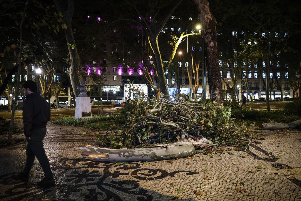 Mau tempo em Lisboa - Avenida da Liberdade Foto: Rodrigo Antunes/Lusa