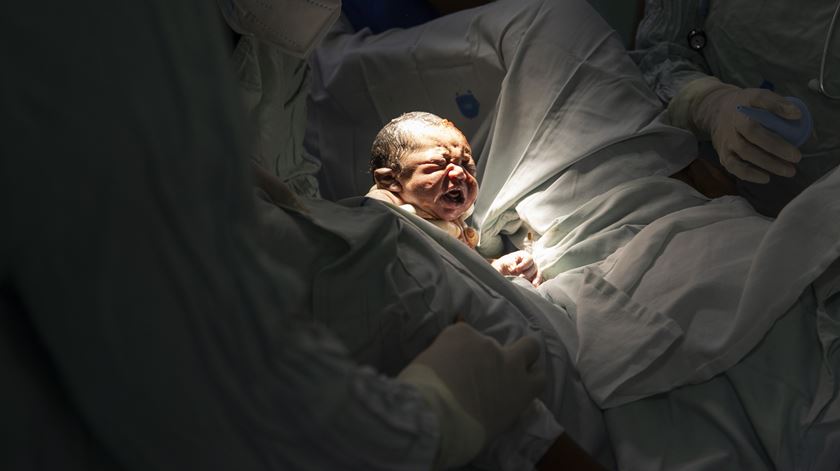 Adeus Alfa, olá Beta: bebés nascidos a partir de 2025 vão pertencer a uma nova geração