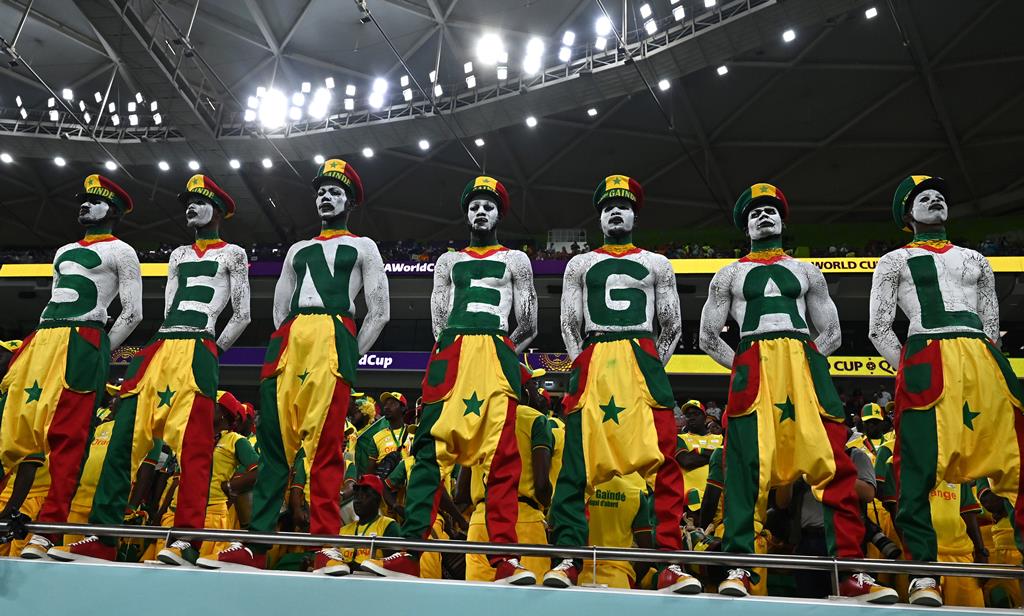 Os adeptos do Senegal também deram cor às bancadas no Qatar, apesar da derrota dentro de campo. Foto: Noushad Thekkayil/EPA
