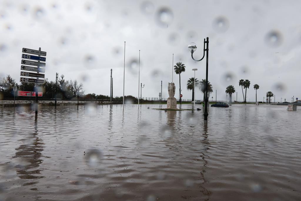 Aberto até de Madrugada: Sapo da meteorologia da Google passa a