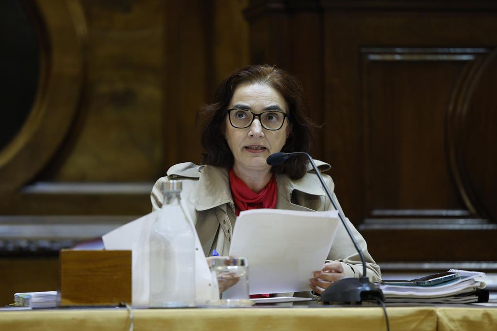 Ministra Elvira Fortunato. Foto: António Pedro Santos/Lusa