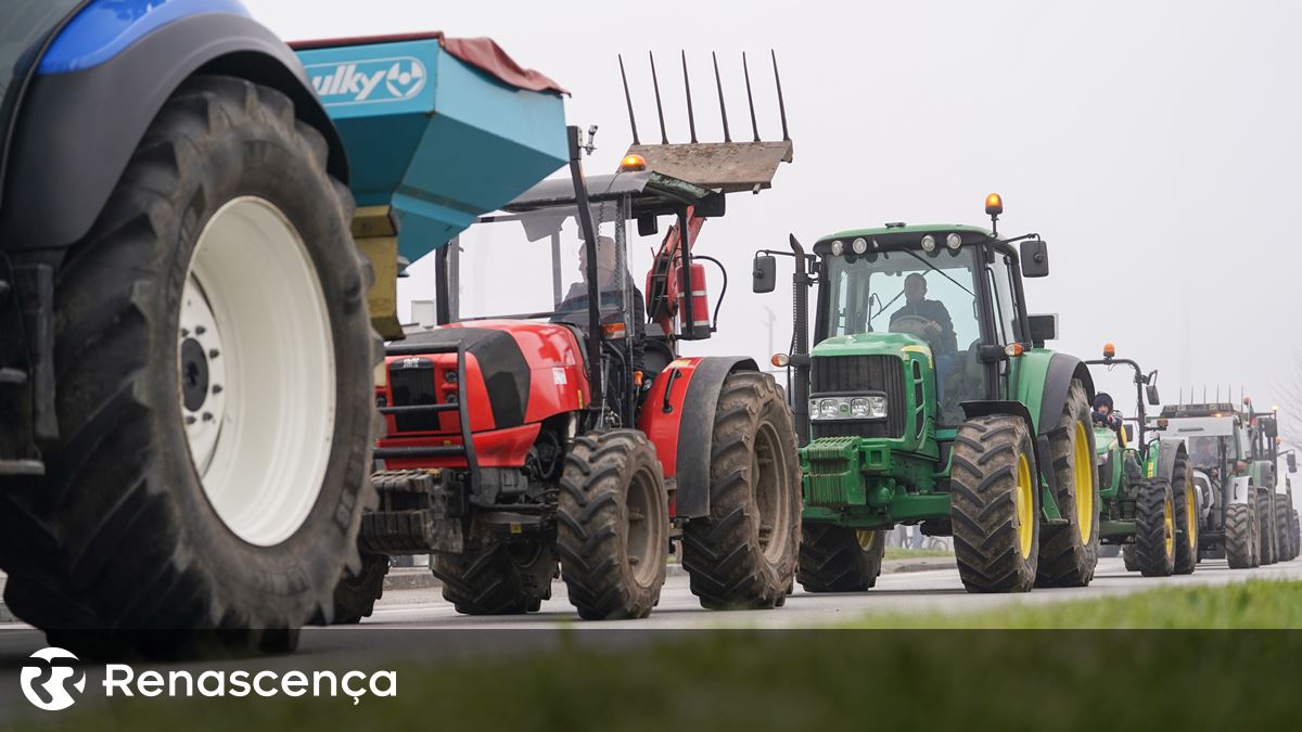 CAP vai pedir à UE que autorize pagamento de 60 milhões de euros aos agricultores