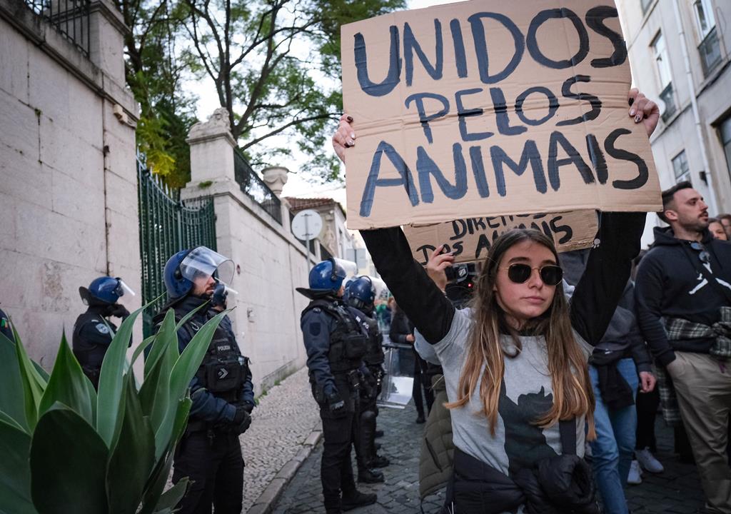 Manifestação pela criminalização dos maus-tratos a animais. Foto: Rui Minderico/Lusa