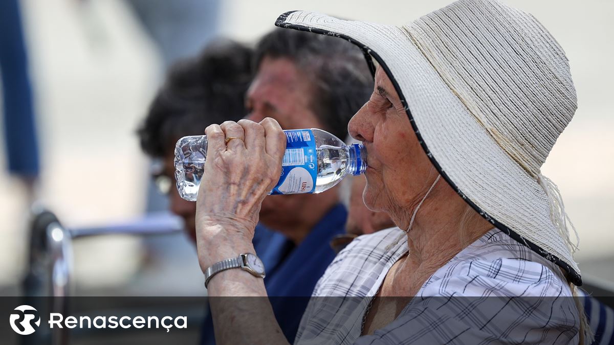 Cuidado com o calor. DGS recomenda medidas de proteção adicionais