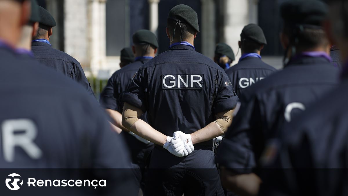 GNR apreende chifres de rinoceronte e sementes no valor de 140 mil euros