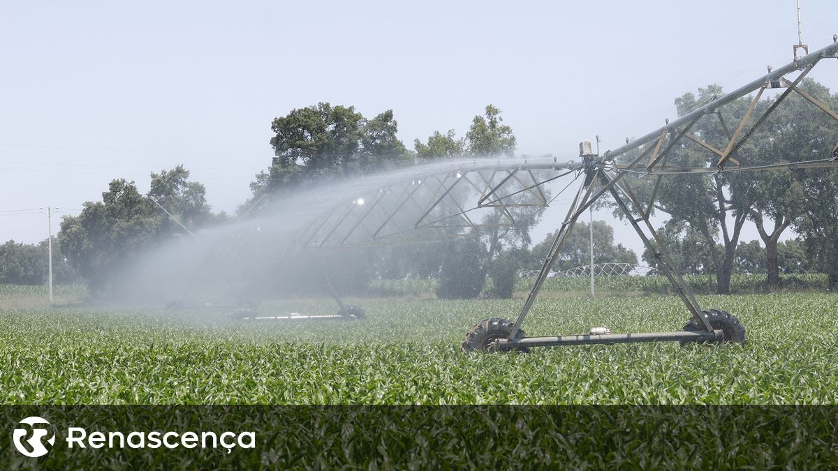 “Ou há contrapartidas ou não faz sentido” aumentar a taxa da água para os agricultores