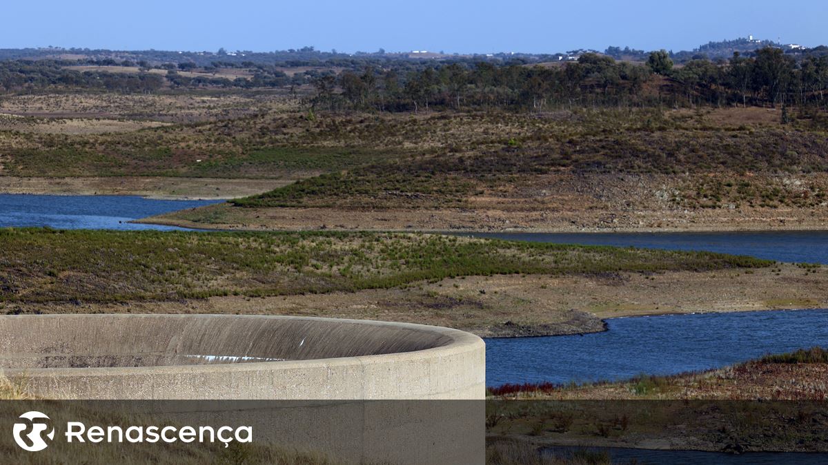 Associação ambientalista Zero assinala Dia Mundial do Ambiente com carta a ministros