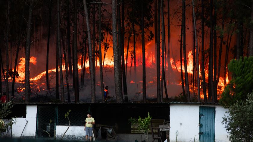 Foto: Paulo Cunha/Lusa