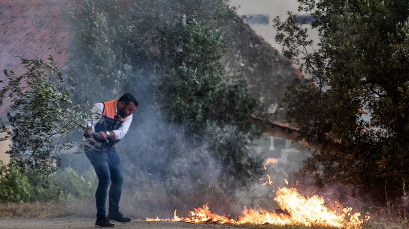 Foto: Paulo Cunha/Lusa