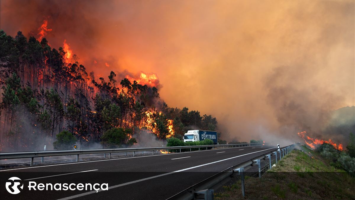 Concelho de Tavira em risco máximo de incêndio