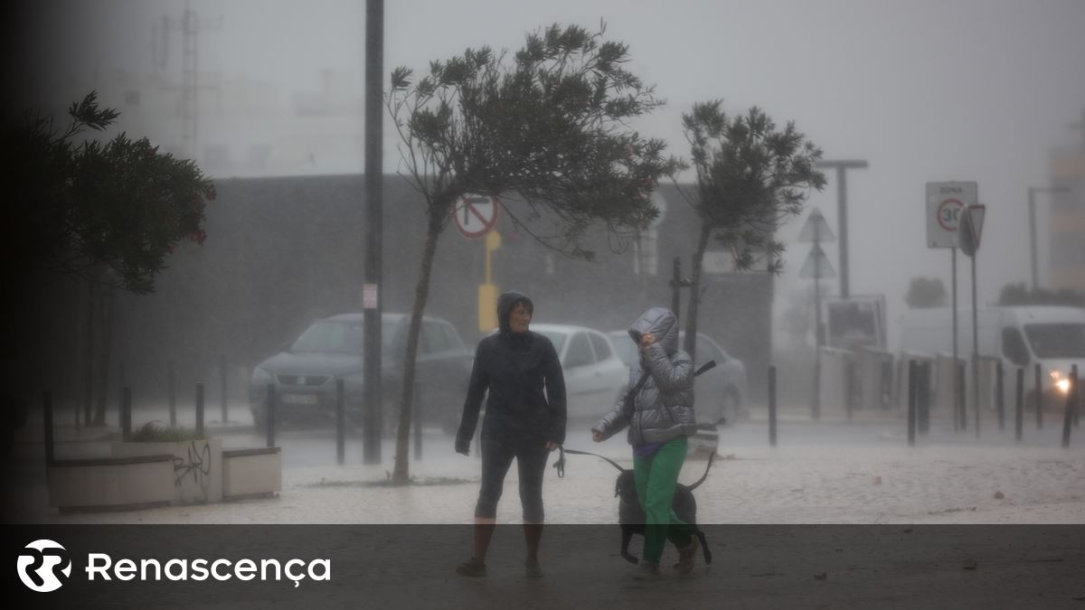 Cancelado desfile de Carnaval na Mealhada e Figueira da Foz anuncia adiamento