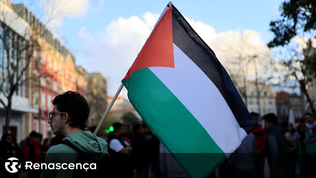 BE quer que Governo apoie sanções e processo contra Israel no TIJ e reconheça Palestina