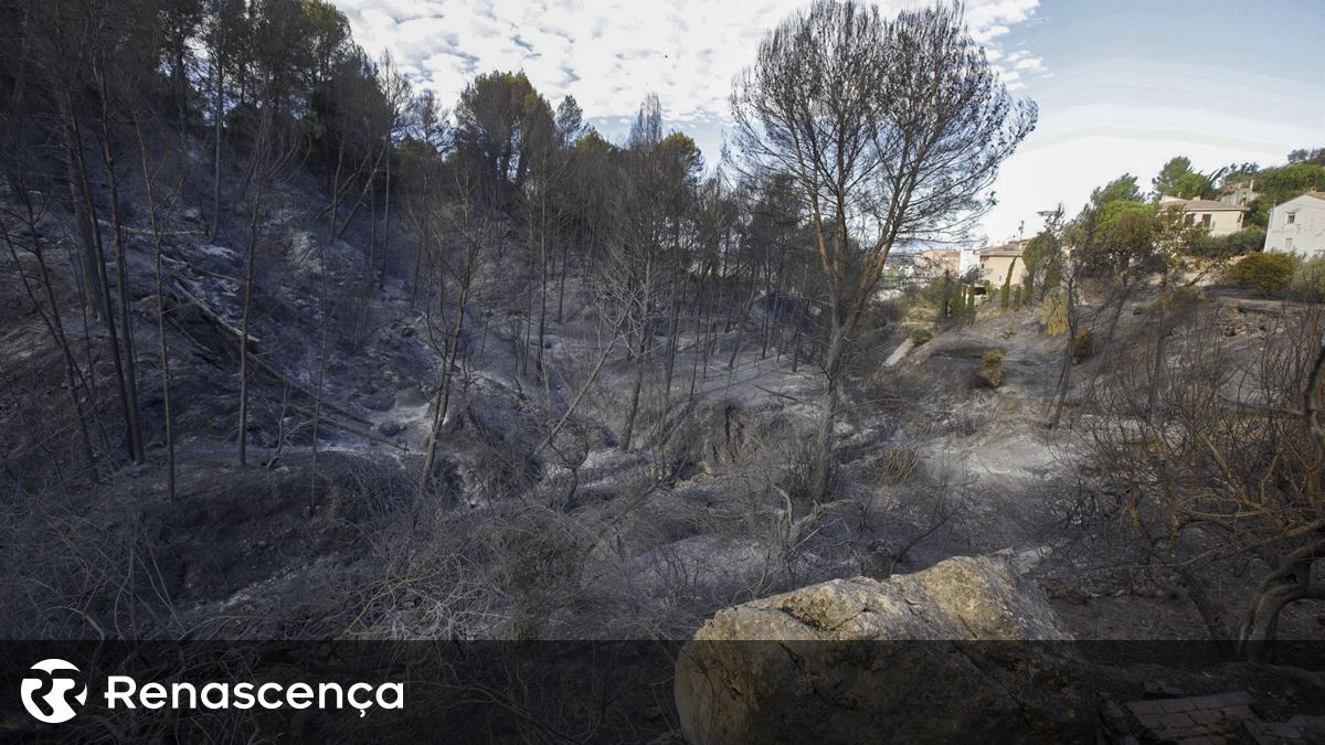 Dominado um dos dois incêndios que lavravam no distrito de Bragança