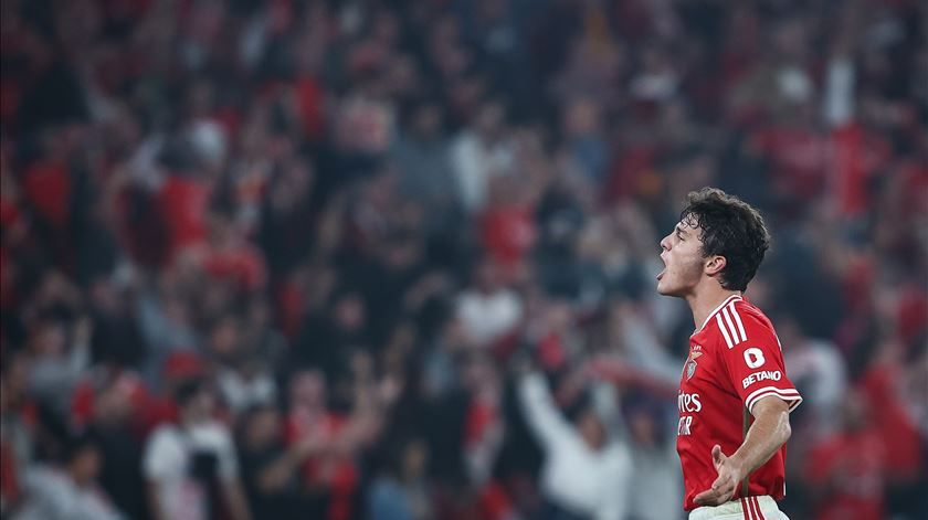 João Neves brilha no Benfica e ganhou espaço na seleção. Foto: Rodrigo Antunes/Lusa