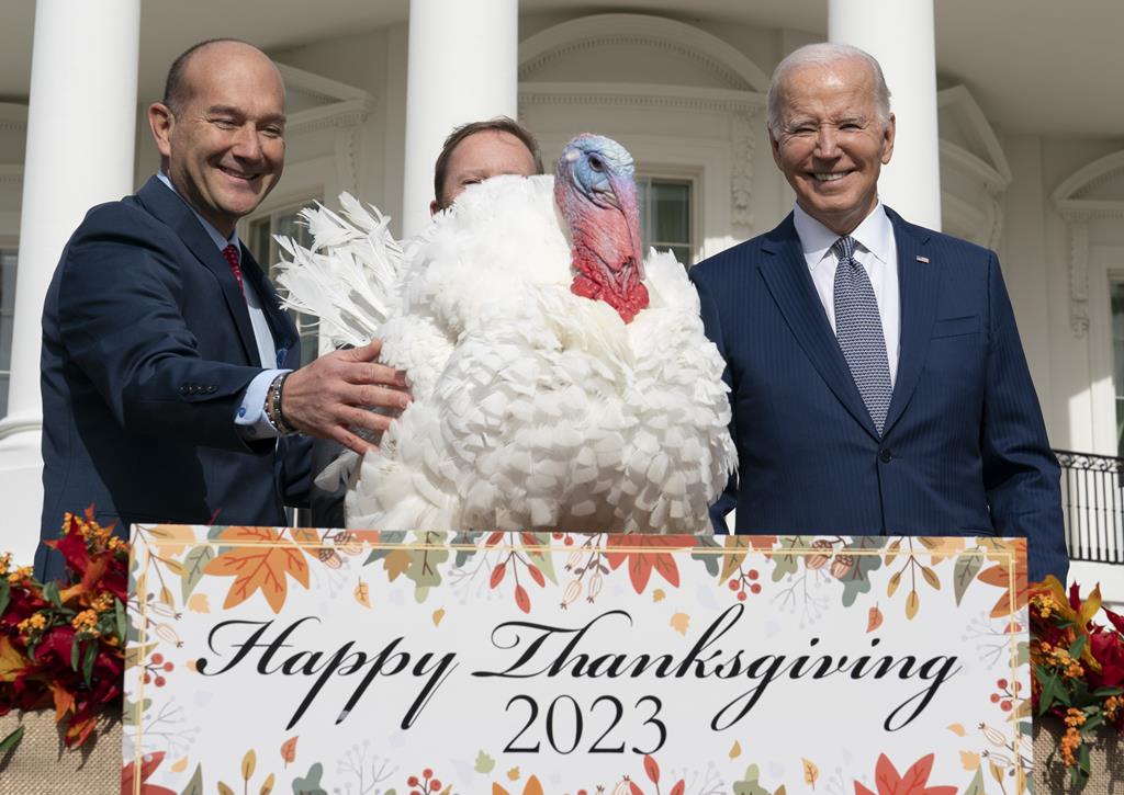 Joe Biden cumpre a tradição de "perdoar" um peru, nas celebrações do Dia de Ação de Graças Foto: Chris Kleponis / Pool/EPA