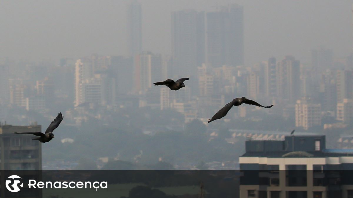 Partículas poluentes a níveis superiores perto de Unidades de Saúde