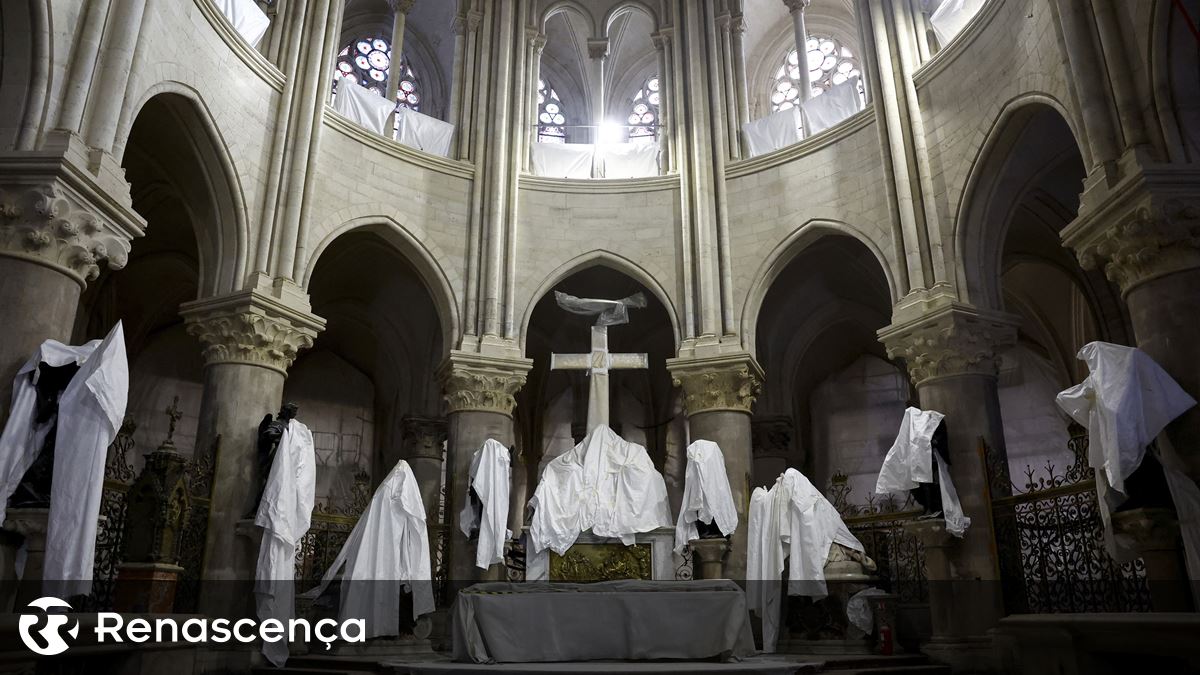 Catedral de Notre-Dame renasce 5 anos após incêndio