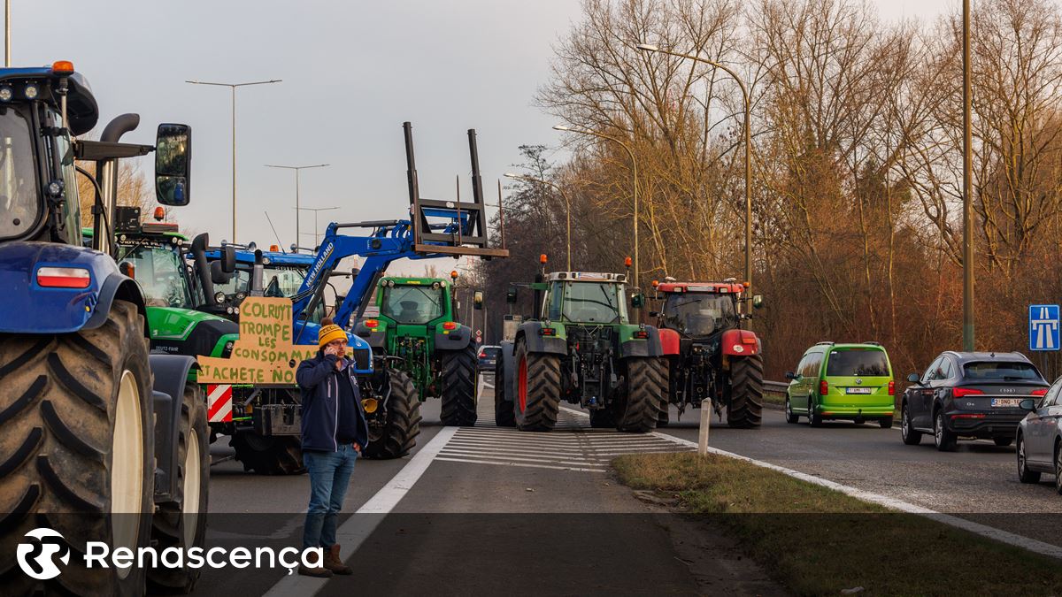 Movimento civil de agricultores protesta nas estradas portuguesas esta quinta-feira