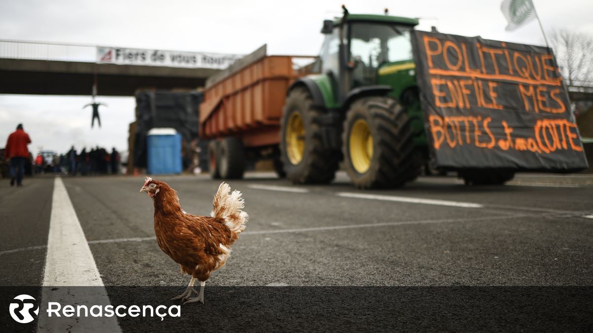 Bloqueio em França. "Se continuar terá relevância para agricultura portuguesa"