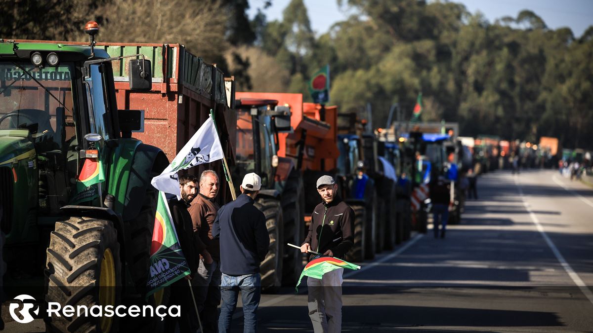 "Os subsídios baixam os preços, sem eles toda a gente tinha de ir para o campo". Os agricultores não sobrevivem sem apoios?