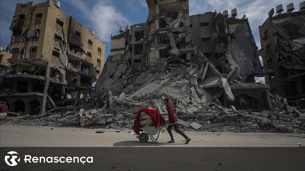 Reconstrução de Gaza custará perto de 38 mil milhões de euros