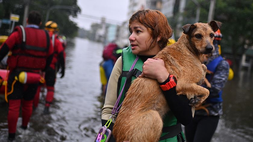 Brasil resgata 82.666 pessoas e 12.215 animais afetados por cheias