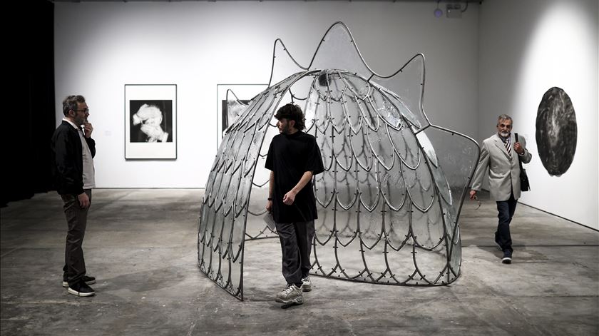 Moedas quer criar Museu de Arte Contemporânea com coleção da câmara