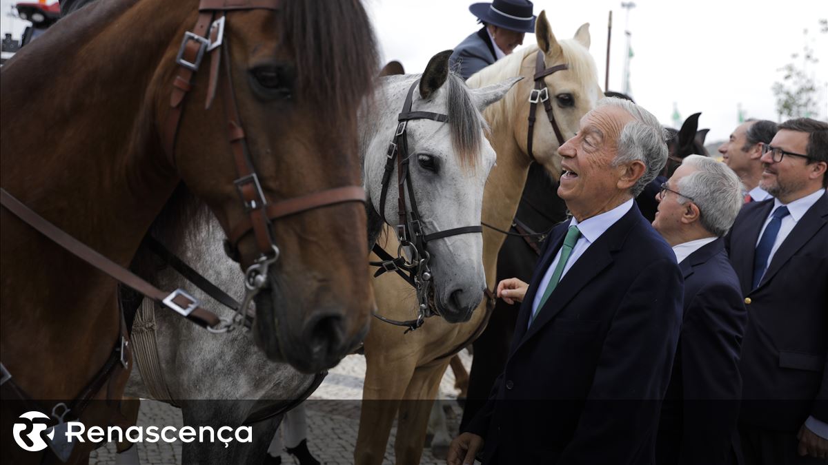 Cavalos, futebol e selfies. A visita de Montenegro e Marcelo à Feira Nacional de Agricultura