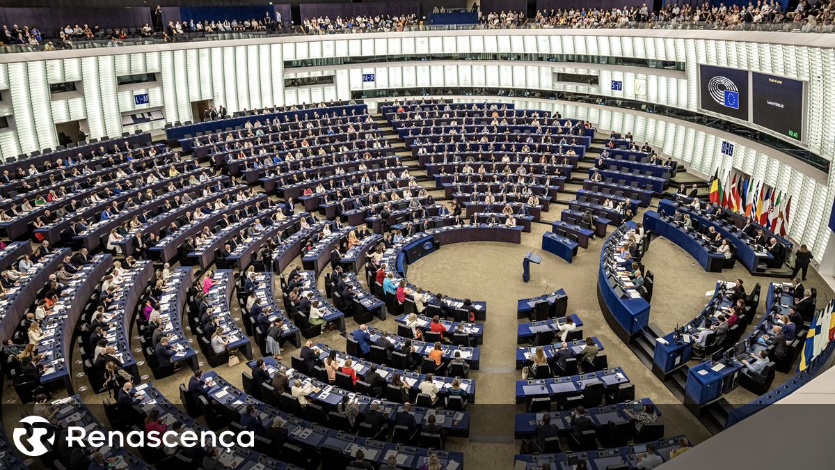 Parlamento Europeu. Em que vão trabalhar os 21 eurodeputados portugueses?