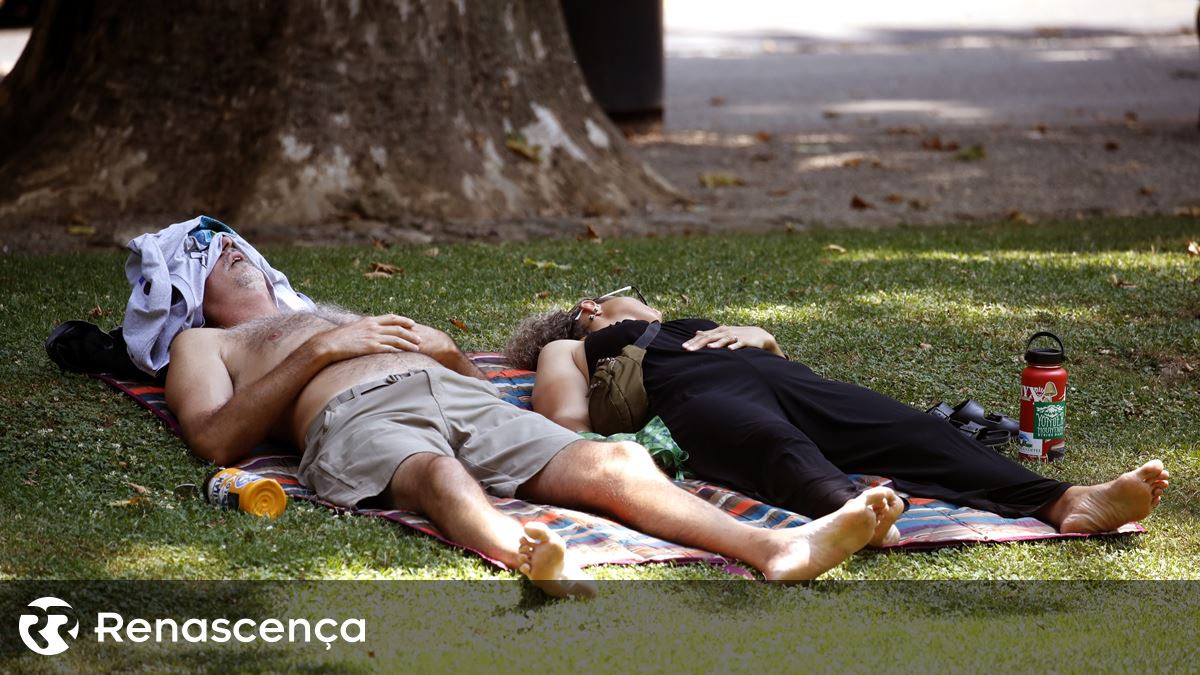 "Demasiado quente para se aguentar." Calor extremo de julho teve "impactos devastadores"