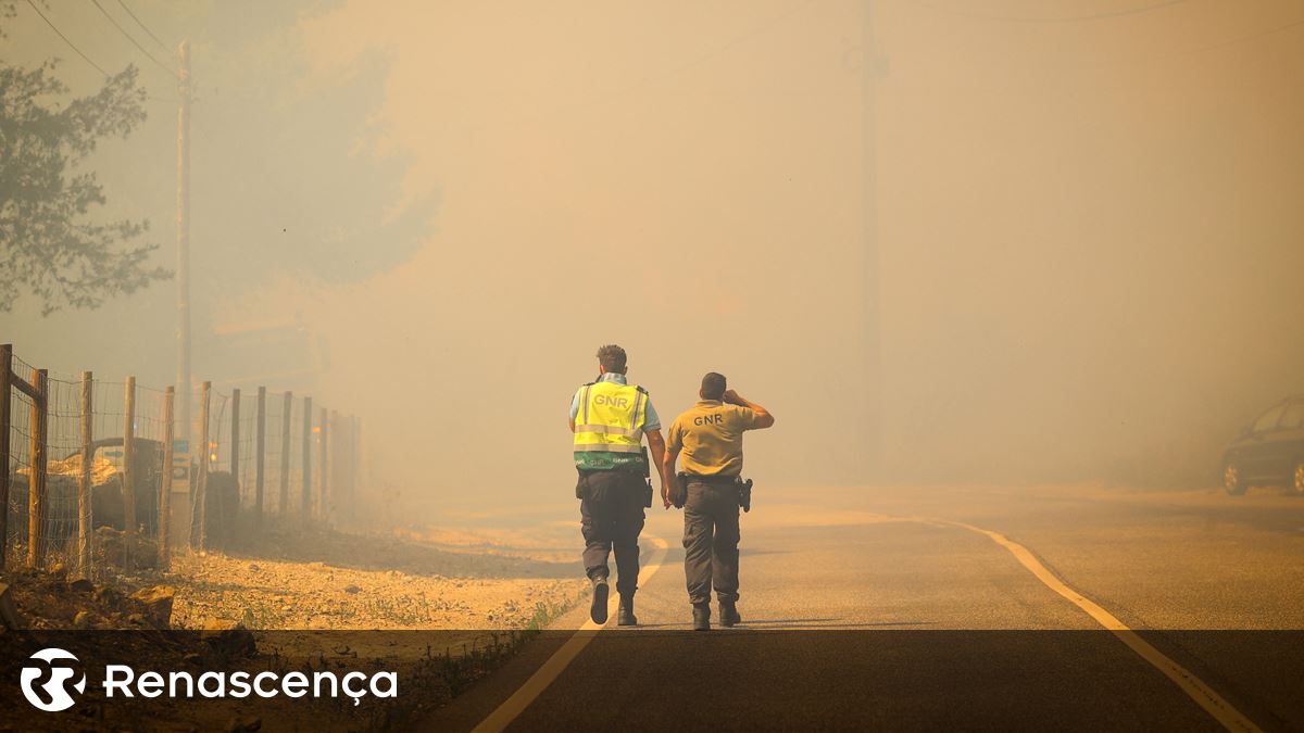 Calor agravado por poluição matou quase 50 mil europeus em 2023