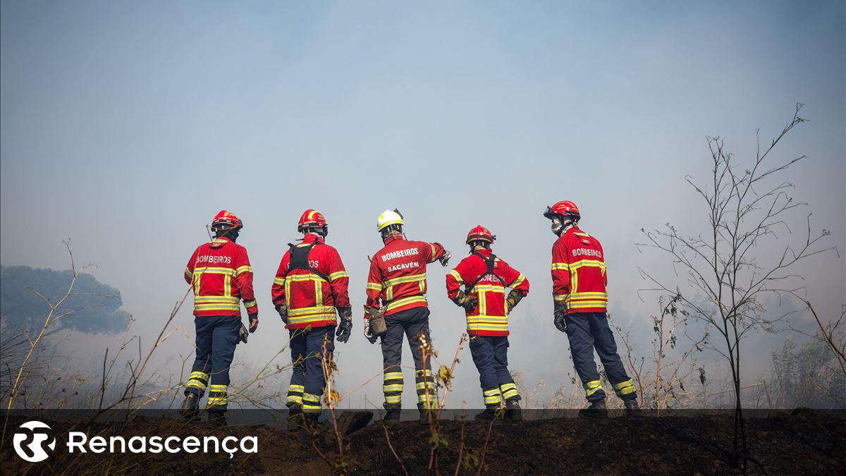 Quatro distritos sob aviso laranja e mais de 50 concelhos em perigo máximo de incêndio