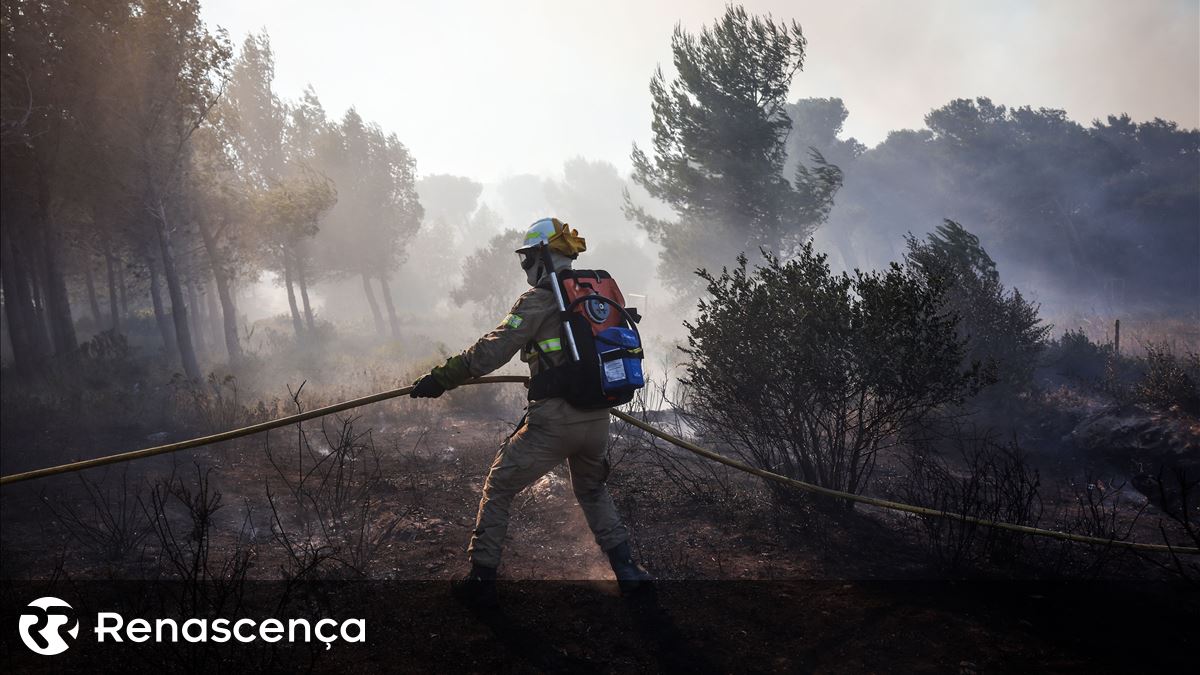 Incêndios. Fogo em Castelo Branco combatido por 291 operacionais e oito meios aéreos