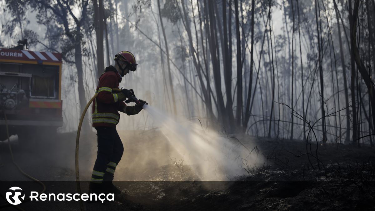 Incêndio de Arouca entrou em fase de resolução