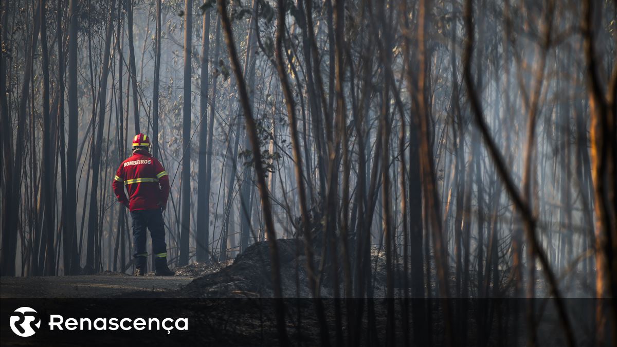 Incêndio em Arcos de Valdevez dominado