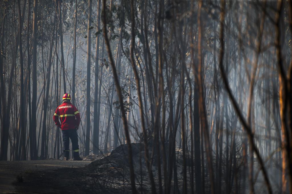 Mais De 40 Concelhos De Seis Distritos Em Perigo Máximo De Incêndio Renascença 9471