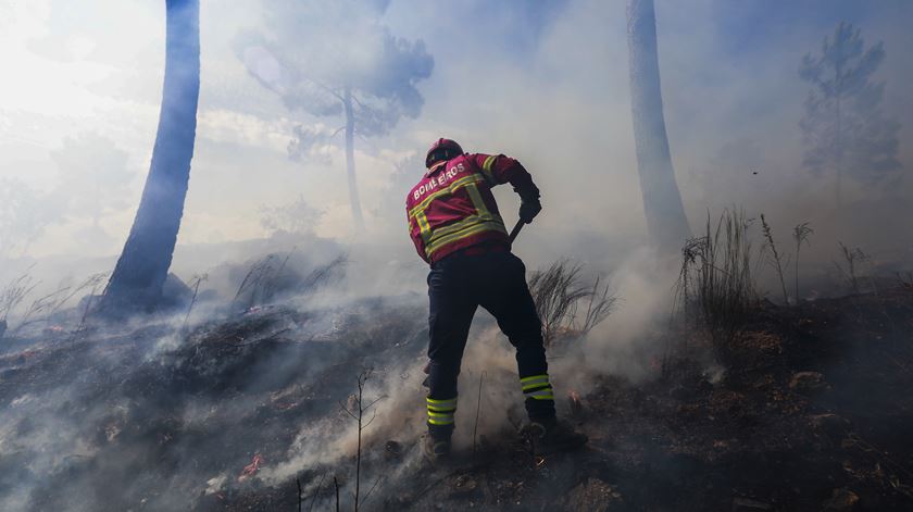 Portugal perdeu 10 mil bombeiros em 25 anos (mas profissionais estão a crescer)