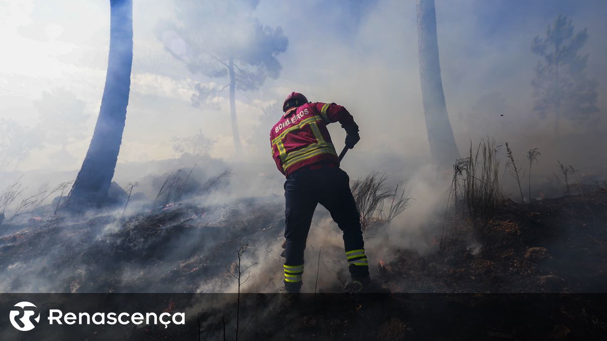 Incêndios. GNR registou 1.912 crimes de incêndio florestal até meados de agosto