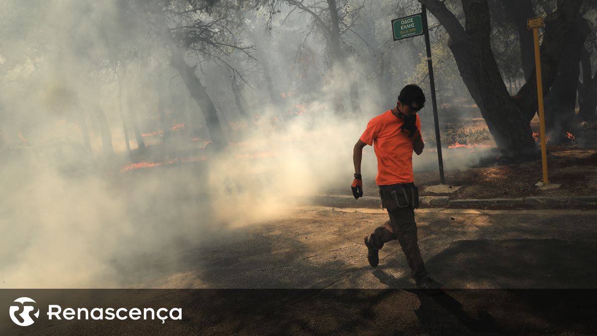 Pelo menos um morto em incêndios florestais nos arredores de Atenas