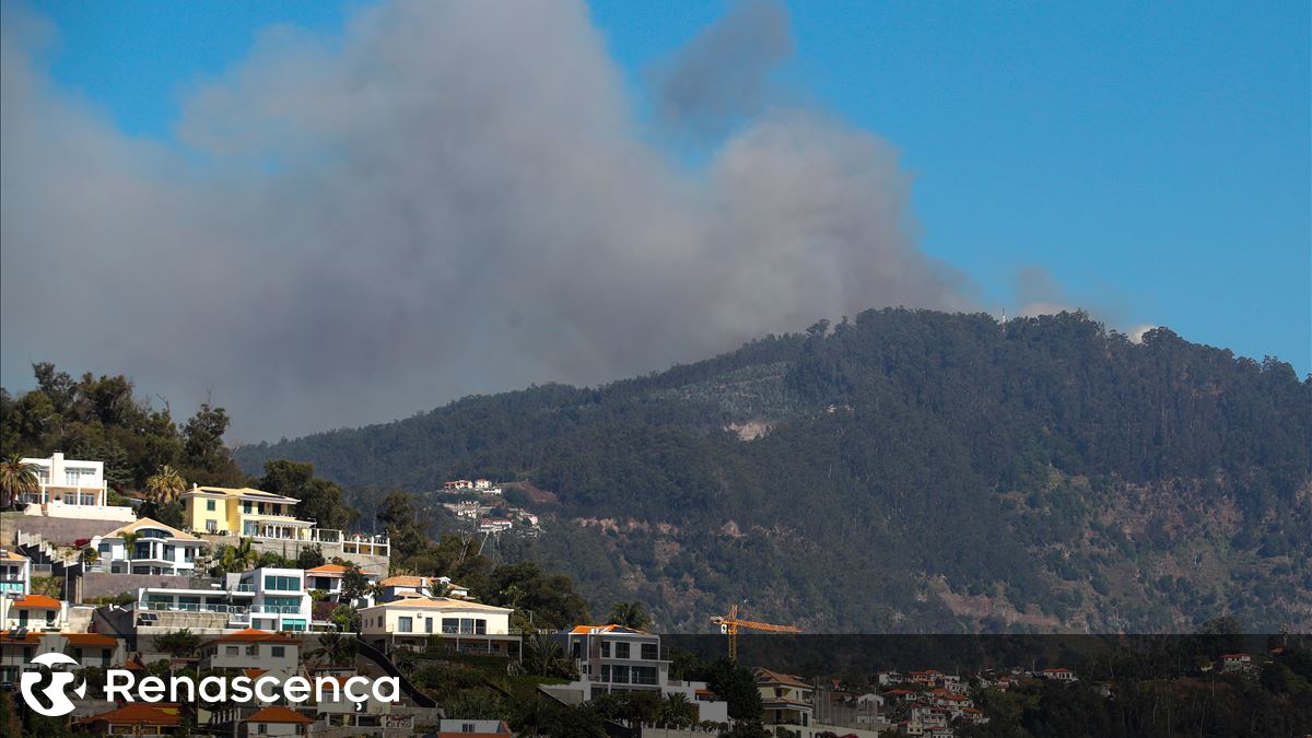 Incêndios. Fogo na Madeira continua ativo e vai em direção ao Curral das Freiras