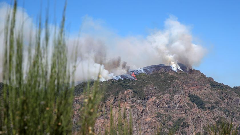 Madeira. PJ está a investigar "desde o início" origem do fogo