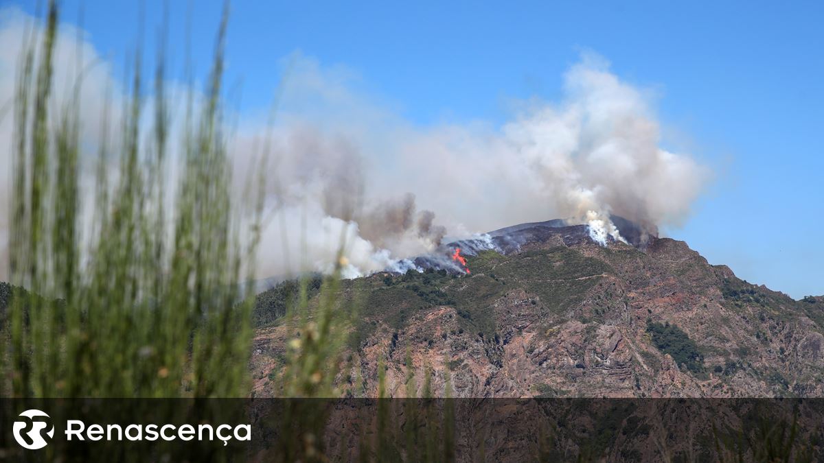 Madeira. Câmara de Lobos ativa Plano Municipal de Emergência