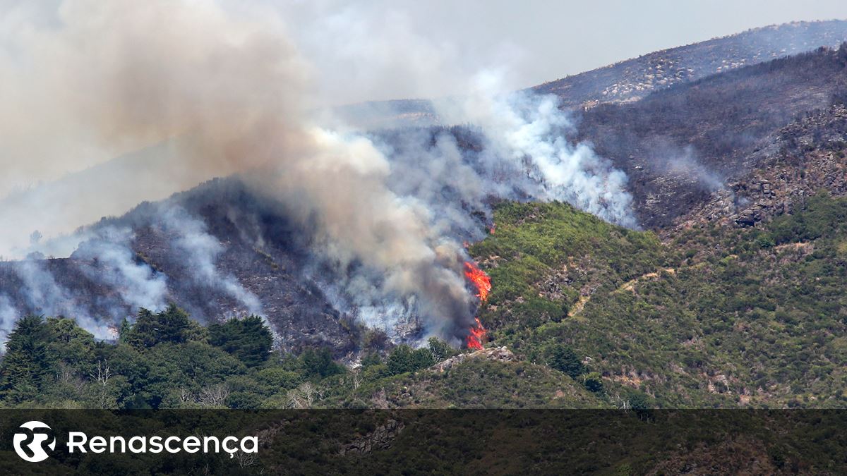 PS/Madeira critica decisão irresponsável de Albuquerque de recusar apoio