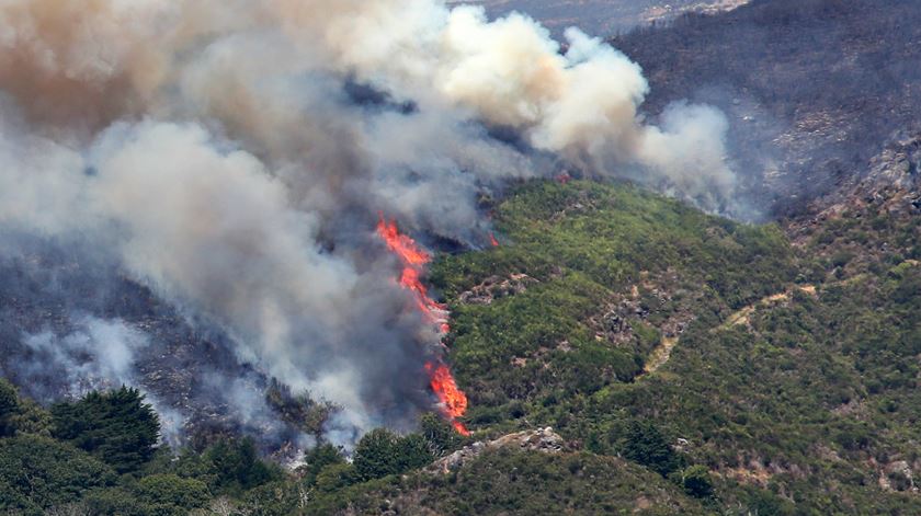 Incêndios na Madeira. Fogo aproxima-se da Fajã dos Cardos