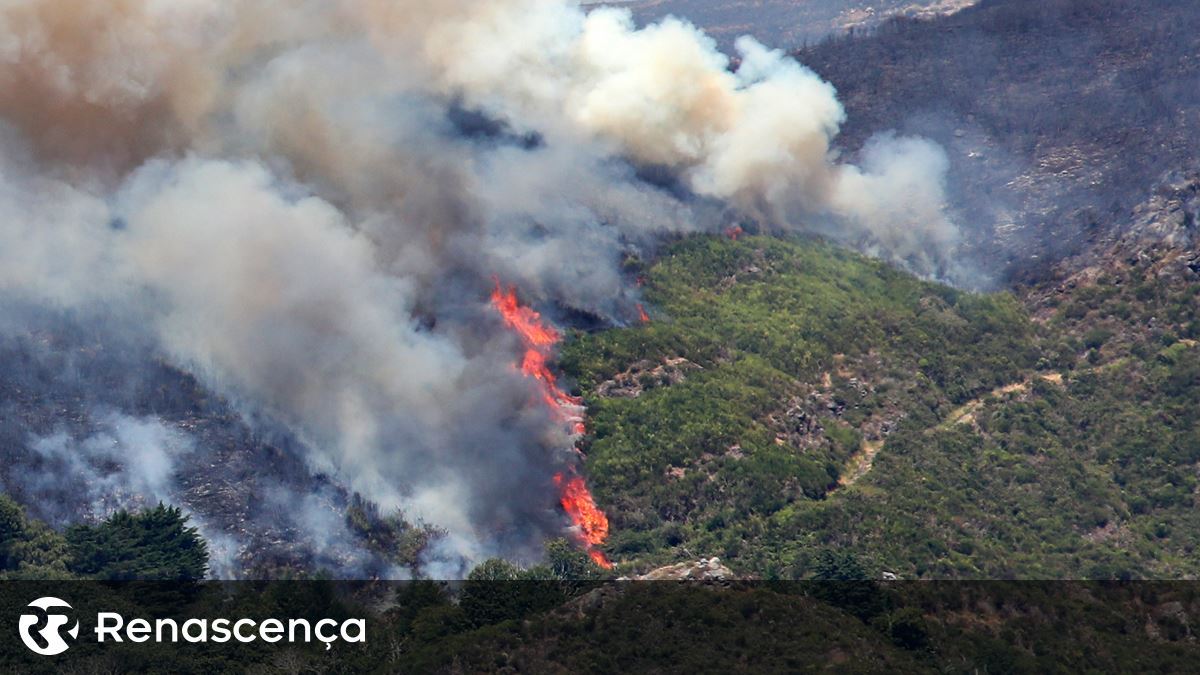 Incêndio em Torres Novas com dois meios aéreos em apoio