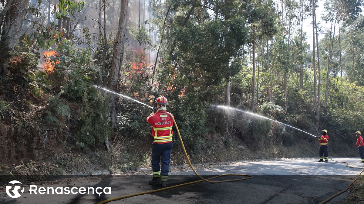 Madeira. Centros de saúde reforçados asseguram todos os cuidados