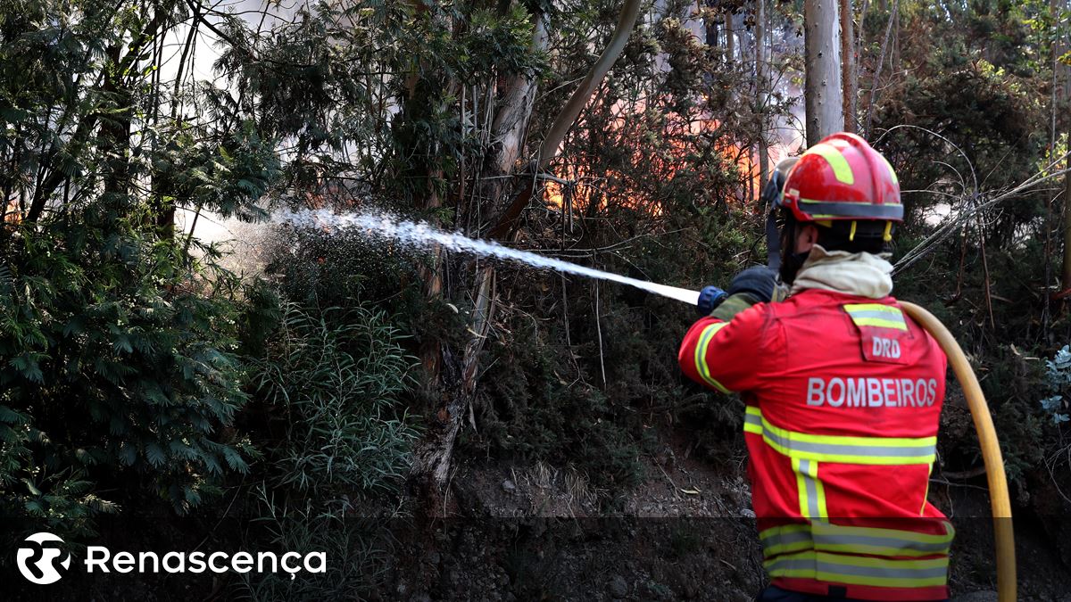 Incêndio na Madeira. Reacendimentos na Ponta do Sol mobilizam uma centena de operacionais